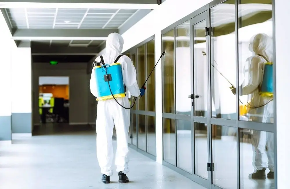 Désinfection maison 6 pièces