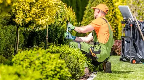 Services domestiques jardinier